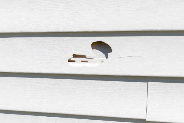 Best Vinyl Siding Installation  in Santo Domingo Pueblo, NM